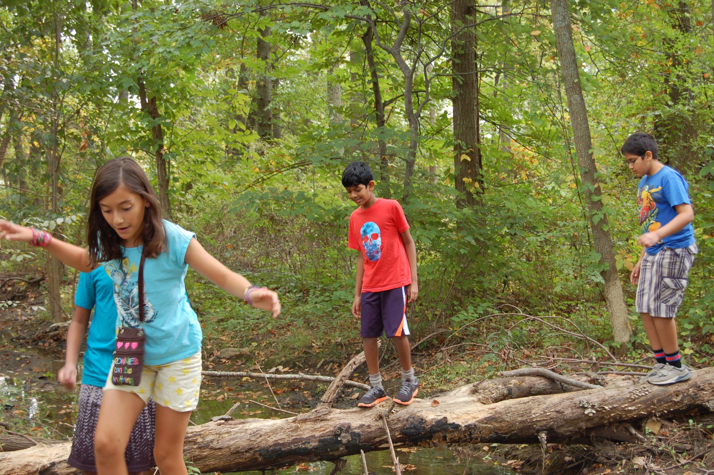 Community Profile Community Wildlife Habitats community-profile-community-wildlife-habitats