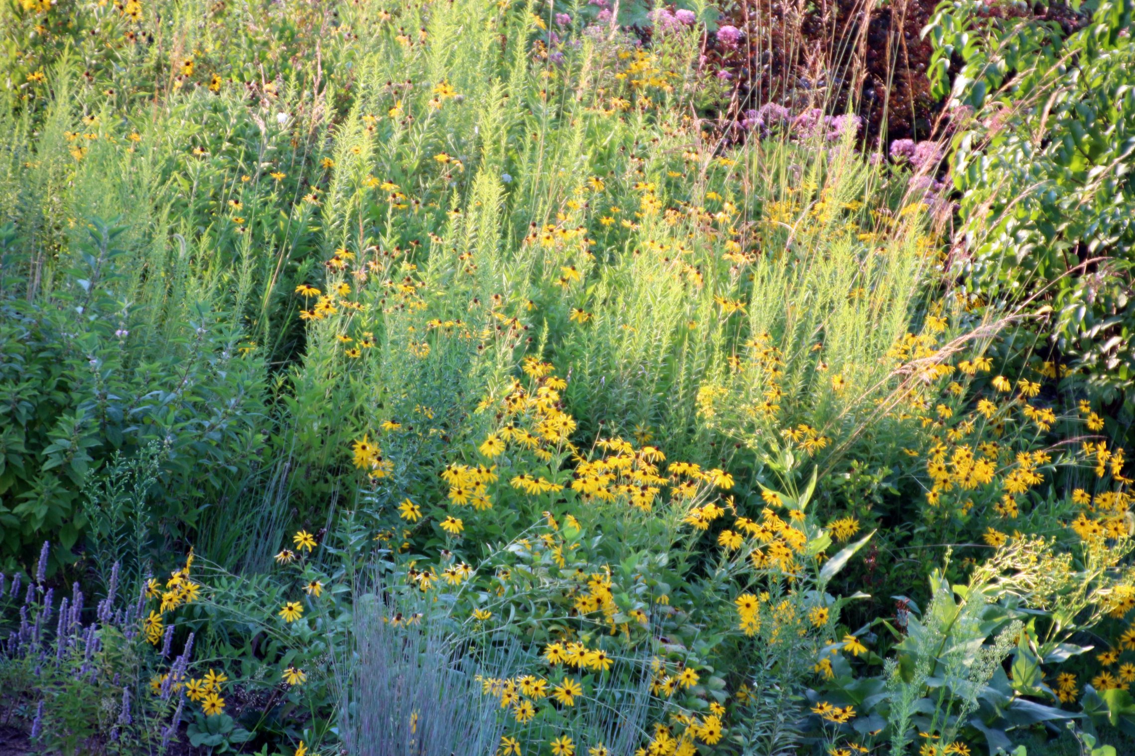Community Profile Community Wildlife Habitats community-profile-community-wildlife-habitats